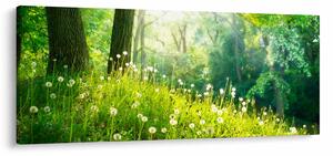 Tablou - Pajiște magică plină de păpădii (120x50 cm)