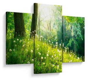 Tablou - Pajiște magică plină de păpădii (90x60 cm)