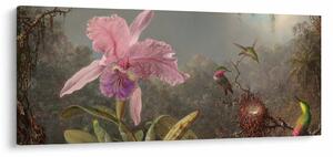Tablou - Martin Johnson Heade, Cattleya Orchid and Three Hummingbirds, reproducere (120x50 cm)
