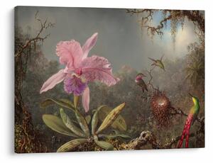 Tablou - Martin Johnson Heade, Cattleya Orchid and Three Hummingbirds, reproducere (70x50 cm)
