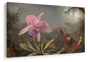 Tablou - Martin Johnson Heade, Cattleya Orchid and Three Hummingbirds, reproducere (90x60 cm)