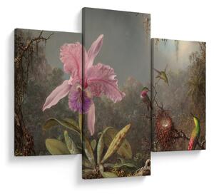 Tablou - Martin Johnson Heade, Cattleya Orchid and Three Hummingbirds, reproducere (90x60 cm)
