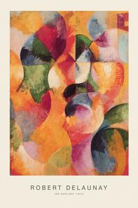 Reproducere The Sunlight (Special Edition) - Robert Delaunay