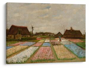 Tablou - Vincent van Gogh, Flower Beds in Holland, reproducere (70x50 cm)
