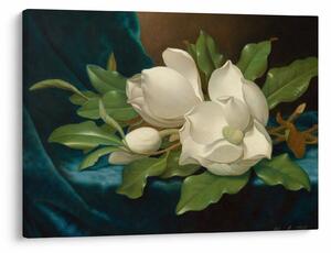 Tablou - Martin Johnson Heade, Giant Magnolias on a Blue Velvet Cloth, reproducere (70x50 cm)