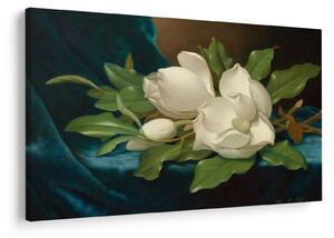 Tablou - Martin Johnson Heade, Giant Magnolias on a Blue Velvet Cloth, reproducere (90x60 cm)