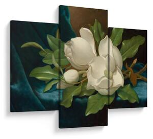 Tablou - Martin Johnson Heade, Giant Magnolias on a Blue Velvet Cloth, reproducere (90x60 cm)