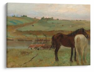 Tablou - Edgar Degas, Horses in a Meadow, reproducere (70x50 cm)