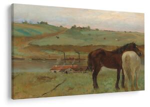 Tablou - Edgar Degas, Horses in a Meadow, reproducere (90x60 cm)