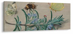 Tablou - Jan van Kessel the Elder, Insects and a Sprig of Rosemary, reproducere (120x50 cm)