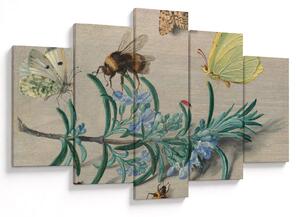 Tablou - Jan van Kessel the Elder, Insects and a Sprig of Rosemary, reproducere (150x105 cm)