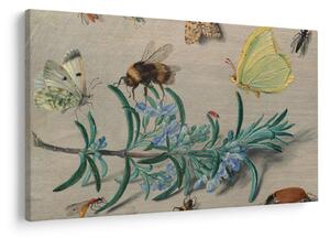 Tablou - Jan van Kessel the Elder, Insects and a Sprig of Rosemary, reproducere (90x60 cm)