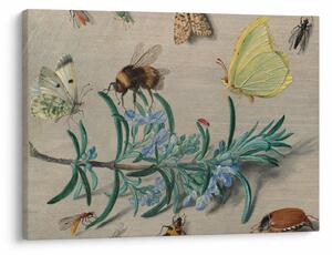 Tablou - Jan van Kessel the Elder, Insects and a Sprig of Rosemary, reproducere (70x50 cm)