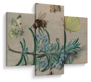 Tablou - Jan van Kessel the Elder, Insects and a Sprig of Rosemary, reproducere (90x60 cm)