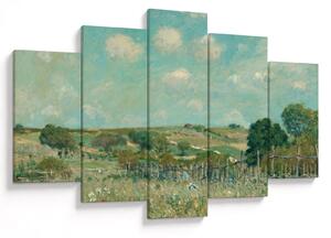 Tablou - Alfred Sisley, Meadow, reproducere (150x105 cm)