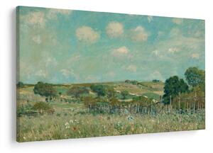 Tablou - Alfred Sisley, Meadow, reproducere (90x60 cm)