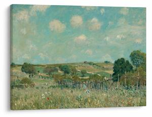 Tablou - Alfred Sisley, Meadow, reproducere (70x50 cm)