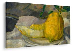 Tablou - French 19th Century, Melon and Lemon, reproducere (90x60 cm)
