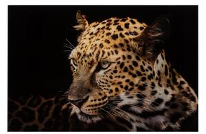 Tablou Leopard, Sticla, Portocaliu Negru, 150x2x100 cm
