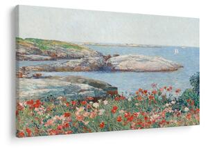 Tablou - Childe Hassam, Poppies, Isles of Shoals, reproducere (90x60 cm)