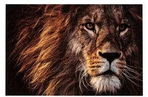 Tablou Lion, Sticla, Maro, 150x0.5x100 cm