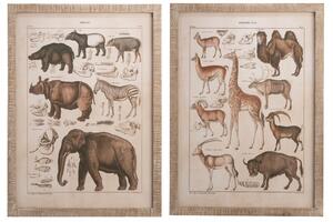 Set 2 decoratiuni de perete Animals, Lemn, Maro, 54x1.7x74.5 cm