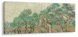 Tablou - Vincent van Gogh, The Olive Orchard, reproducere (120x50 cm)