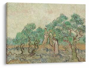 Tablou - Vincent van Gogh, The Olive Orchard, reproducere (70x50 cm)