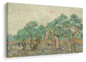 Tablou - Vincent van Gogh, The Olive Orchard, reproducere (90x60 cm)