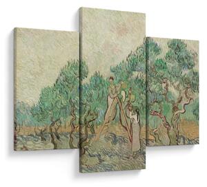 Tablou - Vincent van Gogh, The Olive Orchard, reproducere (90x60 cm)