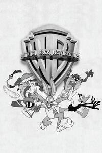 Poster de artă WB 100th Anniversary, (26.7 x 40 cm)