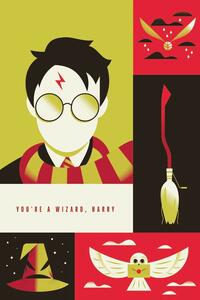 Poster de artă Harry Potter - You are a wizard, (26.7 x 40 cm)