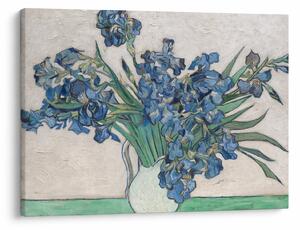 Tablou - Vincent van Gogh, Irises, reproducere (70x50 cm)