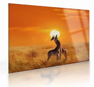 Tablou pe sticlă - Girafe în Parcul Național Serengeti (70x50 cm)