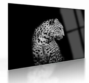 Tablou pe sticlă - Leopardul (70x50 cm)