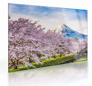 Tablou pe sticlă - Japonia în primăvară (70x50 cm)