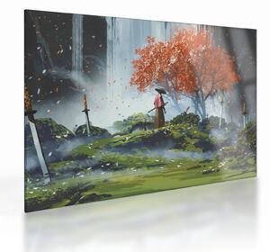 Tablou pe sticlă - Ilustrație a Grădinii de săbii (70x50 cm)