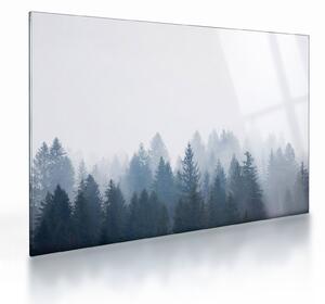 Tablou pe sticlă - Pădure cețoasă (70x50 cm)