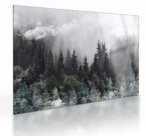 Tablou pe sticlă - Pădure cu elemente ilustrate (70x50 cm)