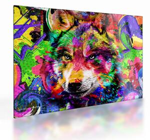 Tablou pe sticlă - Lupul cu graffiti (70x50 cm)