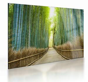 Tablou pe sticlă - Pădure de bambus (70x50 cm)