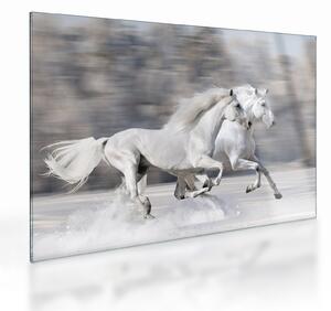Tablou pe sticlă - Cai albi în timpul iernii (70x50 cm)