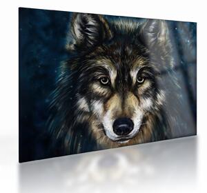 Tablou pe sticlă - Wolf (70x50 cm)