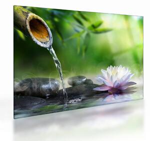 Tablou pe sticlă - Lotus (70x50 cm)