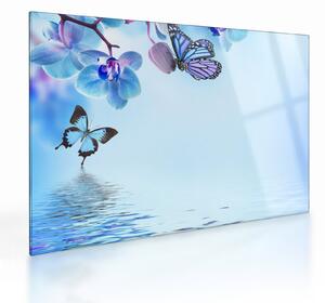Tablou pe sticlă - Fluture pe flori de orhidee, albastru (70x50 cm)