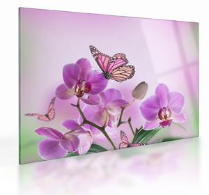 Tablou pe sticlă - Fluture pe flori de orhidee, liliac (70x50 cm)