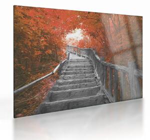 Tablou pe sticlă - Scări în natură, portocaliu (70x50 cm)