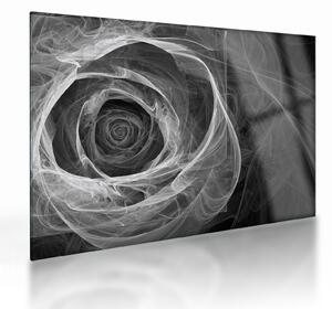 Tablou pe sticlă - Abstract trandafir negru și alb (70x50 cm)