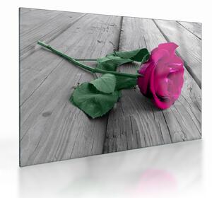 Tablou pe sticlă - Trandafir roz cu tulpina verde (70x50 cm)