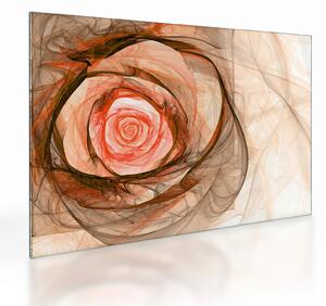 Tablou pe sticlă - Abstract trandafir roz cu fundal alb (70x50 cm)